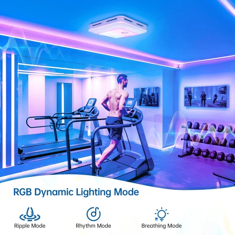 HOME.Bathroom Exhaust Fan with Bluetooth Speaker, 230 CFM 1.0 Sone Bathroom Exhaust Fan with Light, 3 Dynamic Light, 7 LED Color